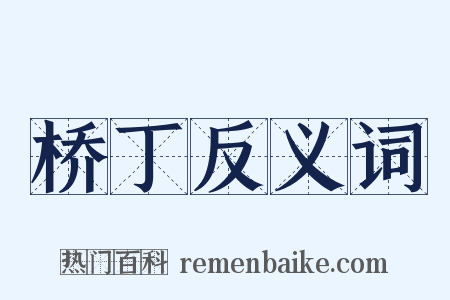 桥丁反义词是什么意思的图片